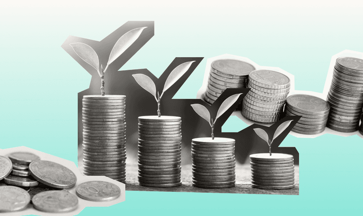 How to Invest in Private Companies: A Guide for New Investors