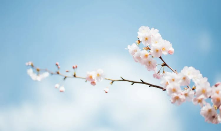 Equity Crowdfunding in Review: April 2019 - StartEngine