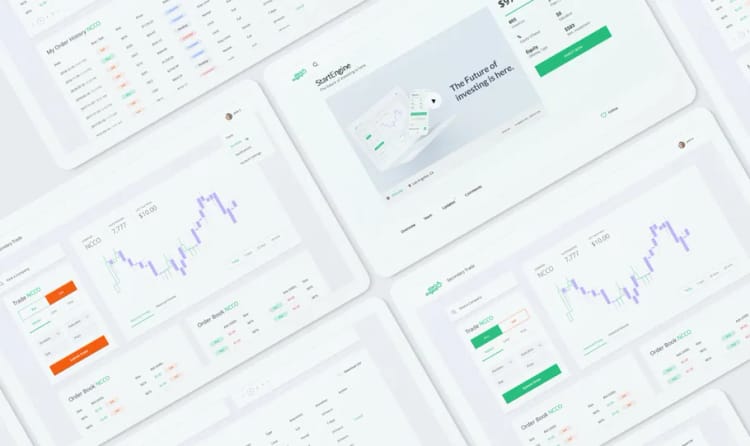 How We Raised $11M from 8,000 Investors - StartEngine