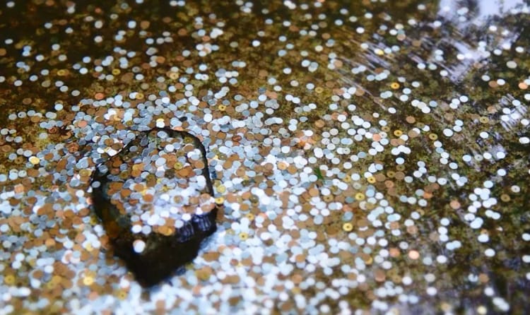 The 5 Golden Rules of Raising Capital - StartEngine