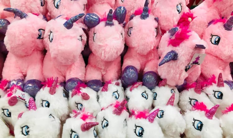 Understanding Startup Unicorns