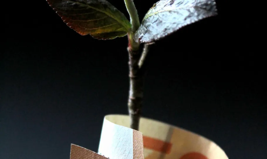 What is Seed Funding and How to Secure It for Your Startup