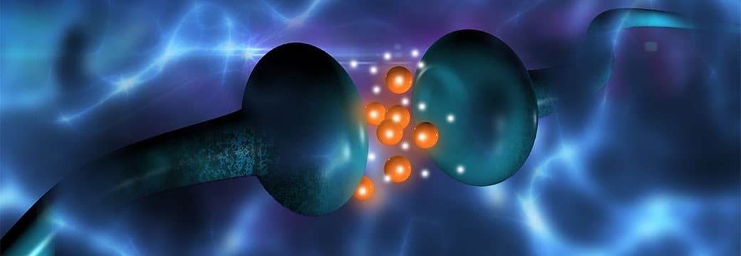 BioHealthonomics offering image