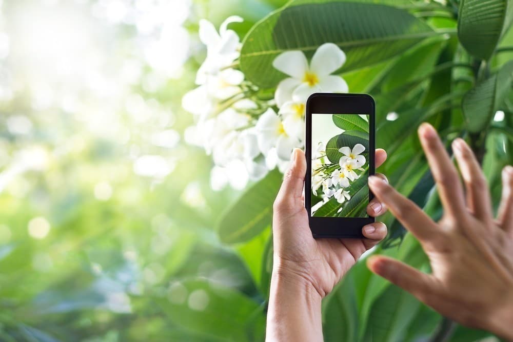 PlantSnap offering image