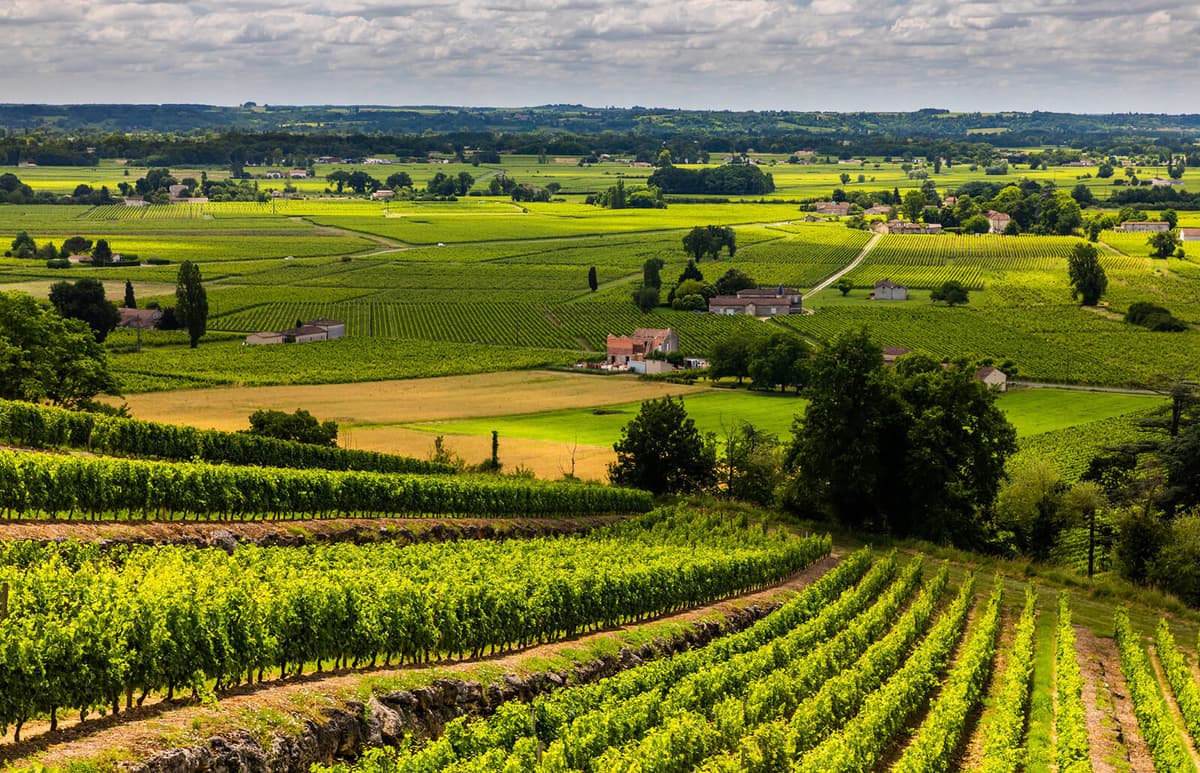 Bordeaux Collection offering image
